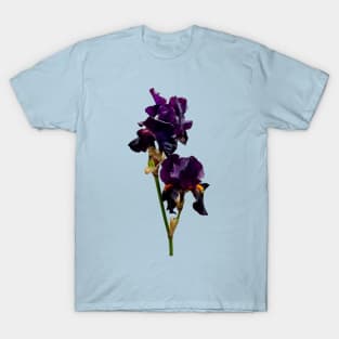 Two Dark Purple Irises T-Shirt